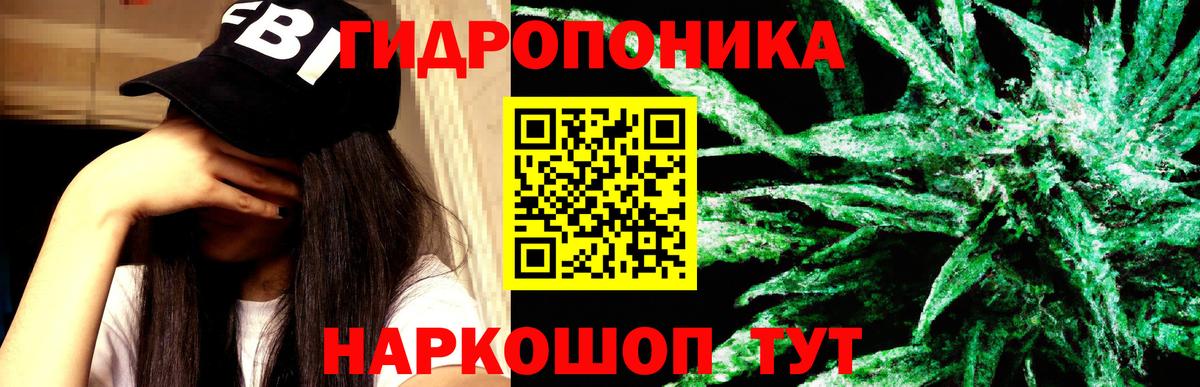 Канабис планчик  Марихуана план  Кузнецк  Вход с VPN  Конопля семена 